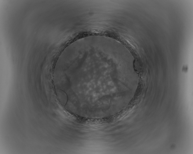 X0000094790817200711161431