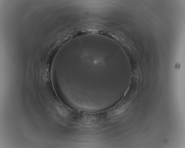 X0000094790818200711161431
