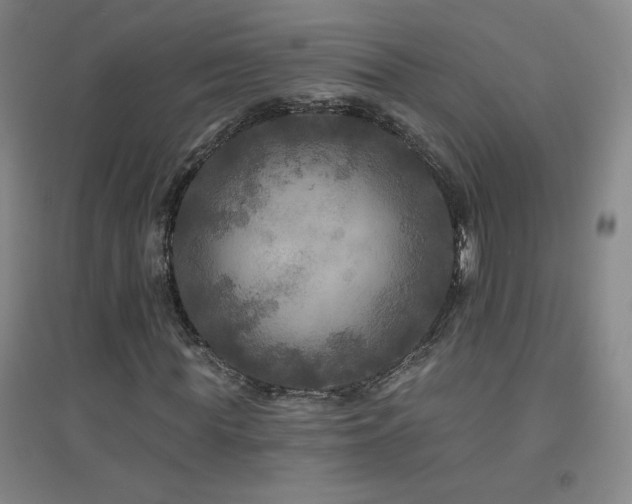 X0000094790819200711161431