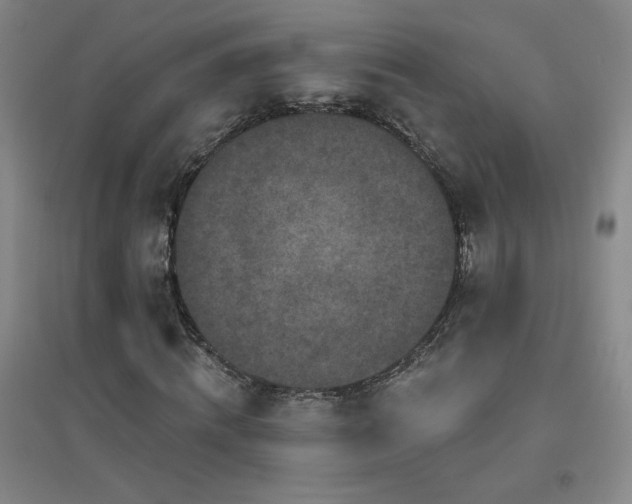 X0000094790820200711161431