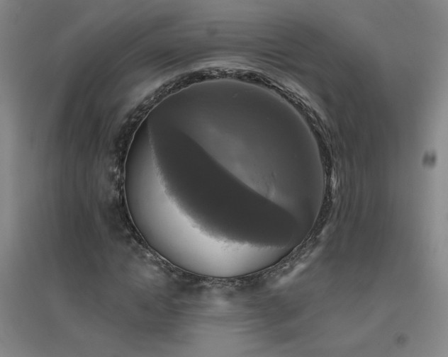 X0000094790822200711161431