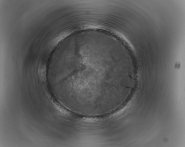 X0000094790825200711161431