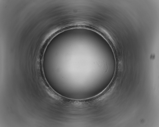 X0000094790827200711161431