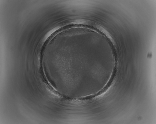 X0000094790829200711161431