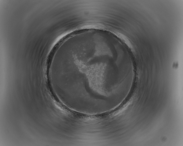 X0000094790830200711161431