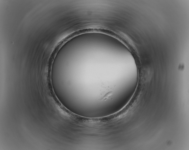 X0000094790831200711161431