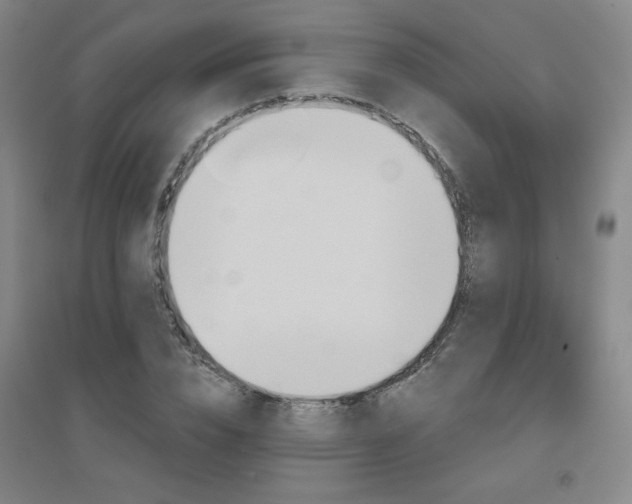 X0000094790832200711161431