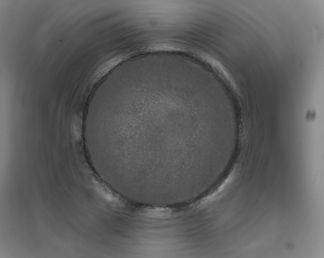 X0000094790833200711161431