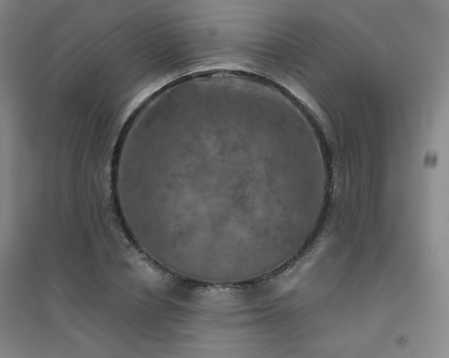 X0000094790834200711161431