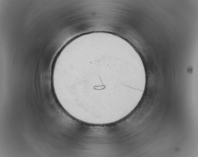 X0000094790836200711161431