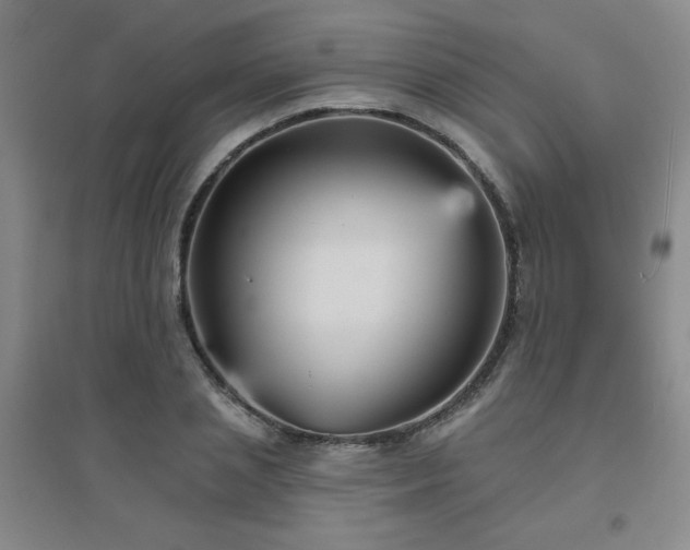 X0000094790837200711161431
