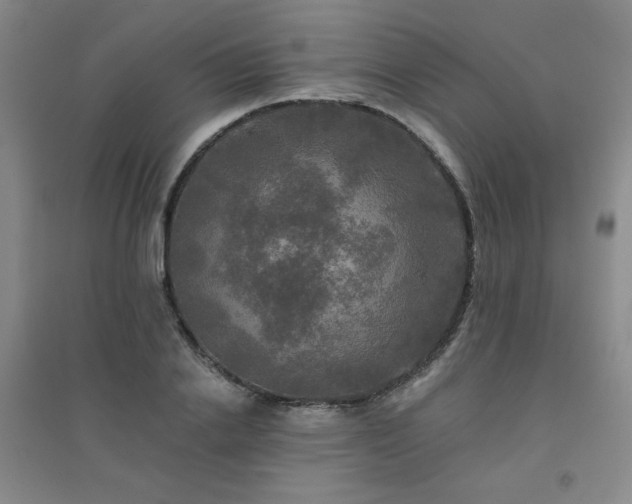 X0000094790838200711161431