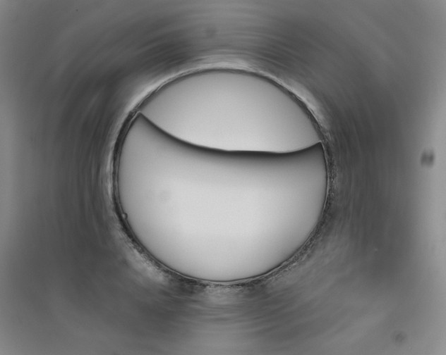X0000094790840200711161431