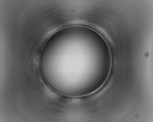 X0000094790841200711161431