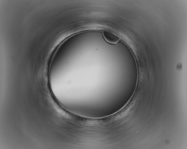 X0000094790843200711161432