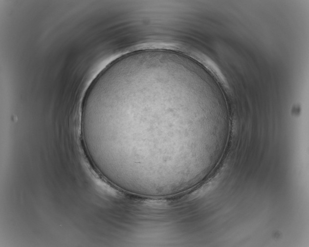 X0000094790844200711161432