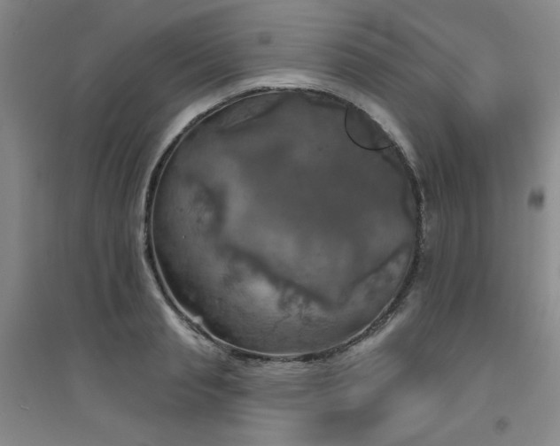 X0000094790845200711161432