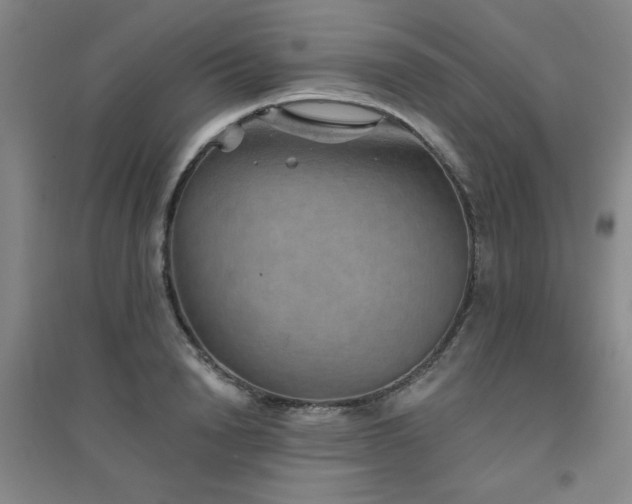 X0000094790846200711161432