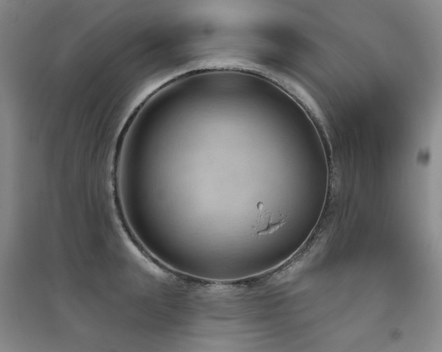 X0000094790847200711161432