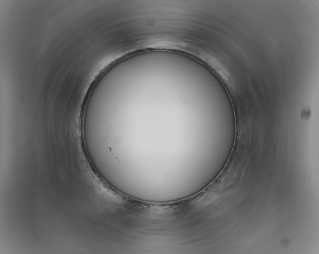 X0000094790848200711161432