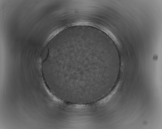 X0000094790849200711161432