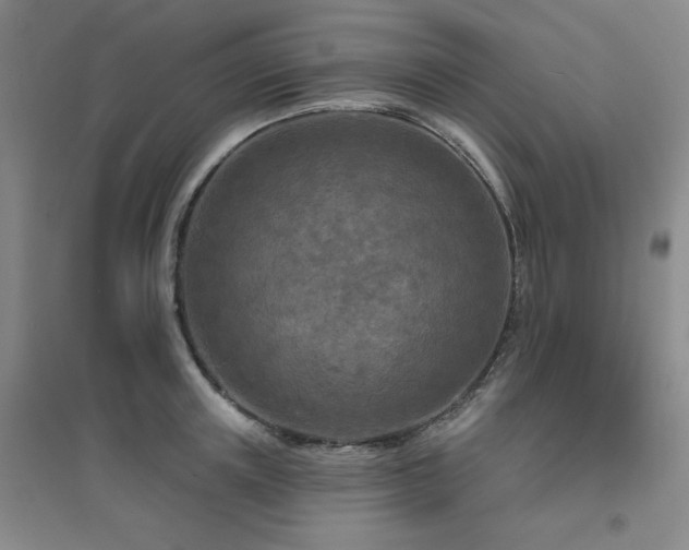 X0000094790851200711161432