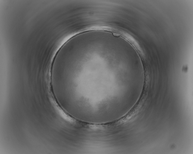 X0000094790852200711161432