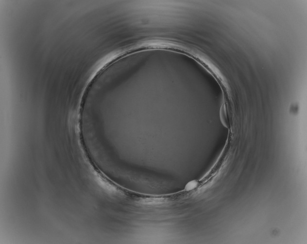 X0000094790853200711161432