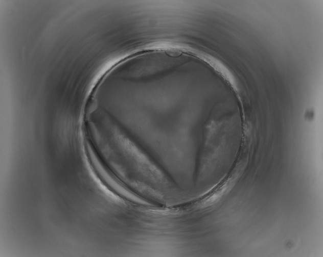 X0000094790855200711161432