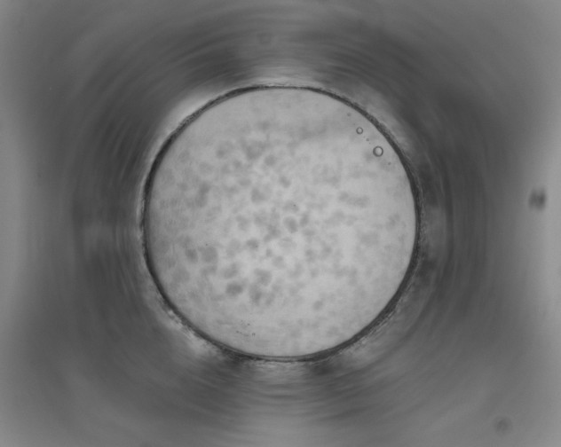 X0000094790856200711161432