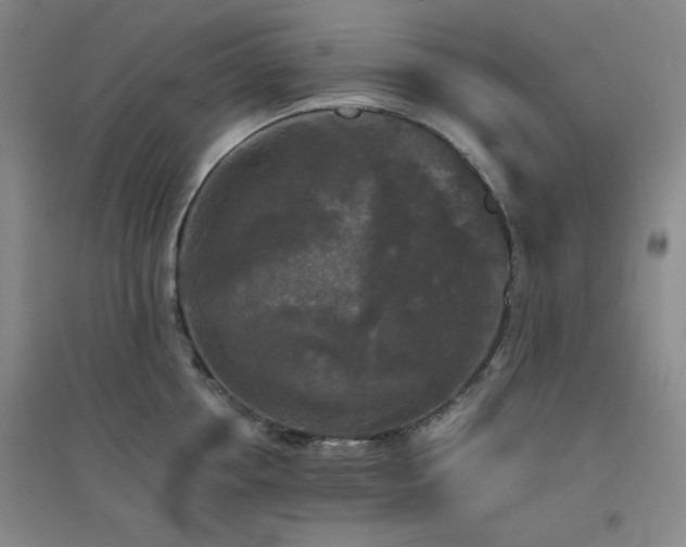 X0000094790858200711161432