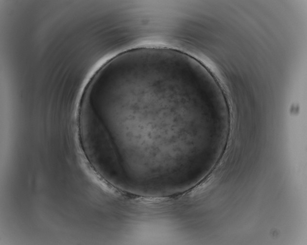 X0000094790864200711161432