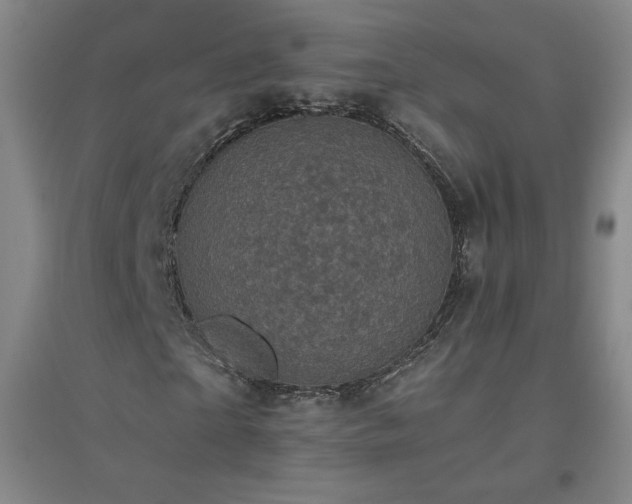 X0000094790865200711161431