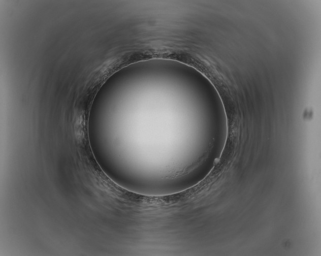 X0000094790866200711161431