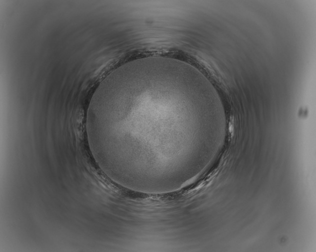 X0000094790867200711161431