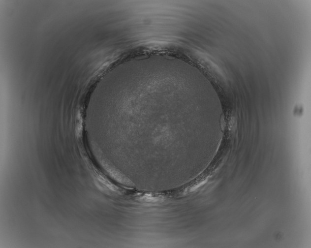 X0000094790868200711161431