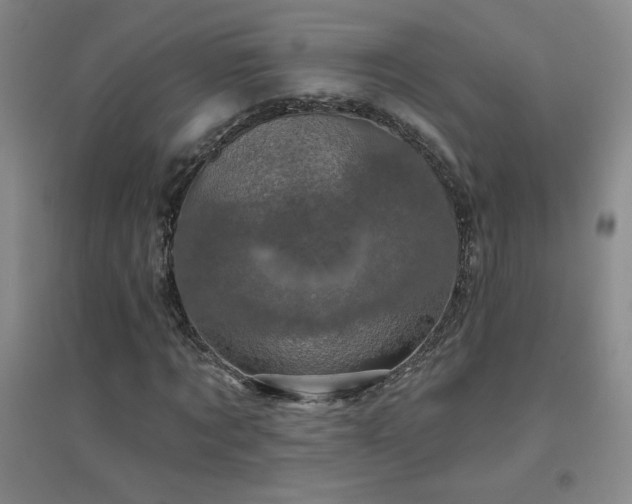 X0000094790869200711161431