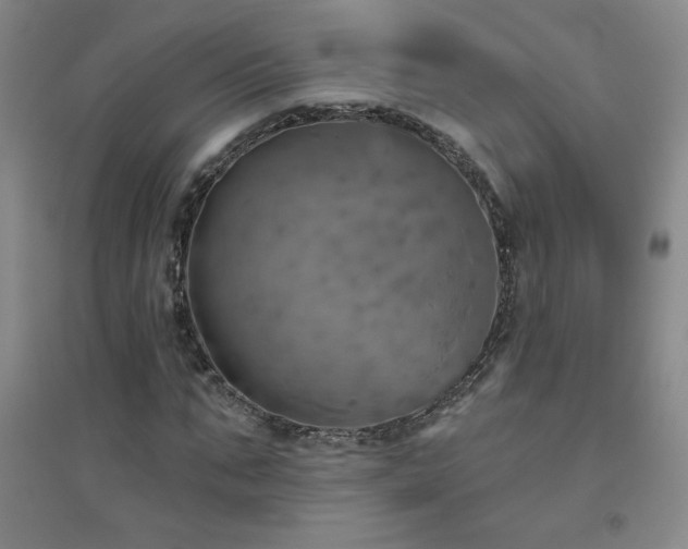 X0000094790871200711161431