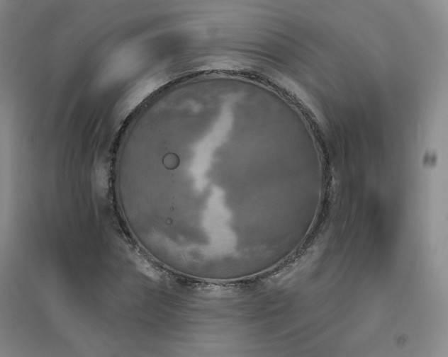 X0000094790874200711161431