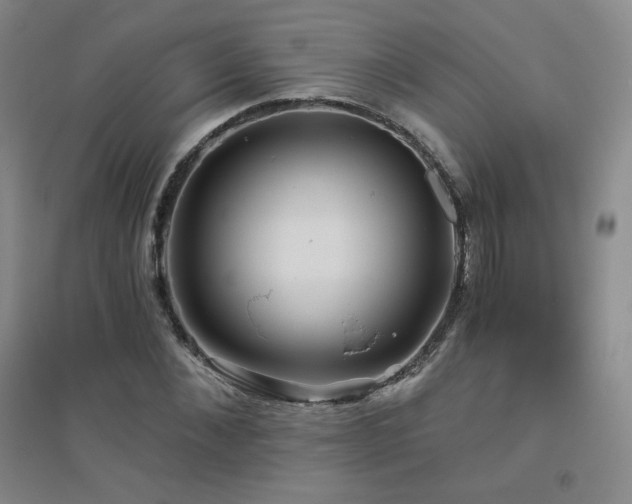X0000094790876200711161431
