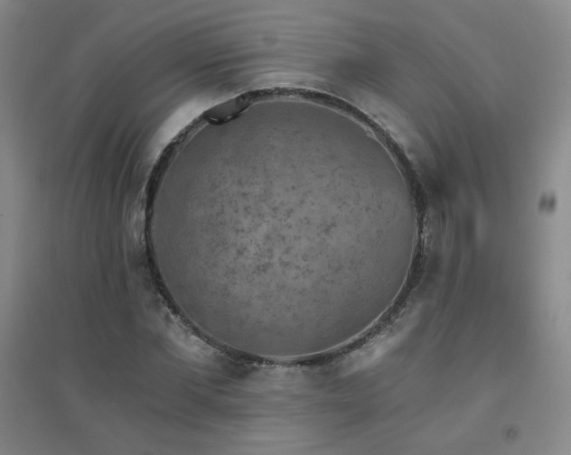 X0000094790877200711161431