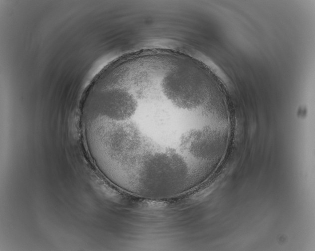 X0000094790878200711161431