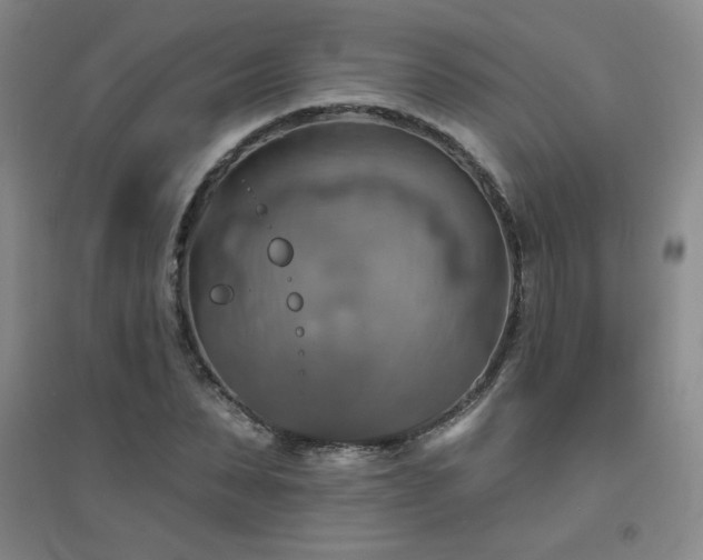 X0000094790879200711161431