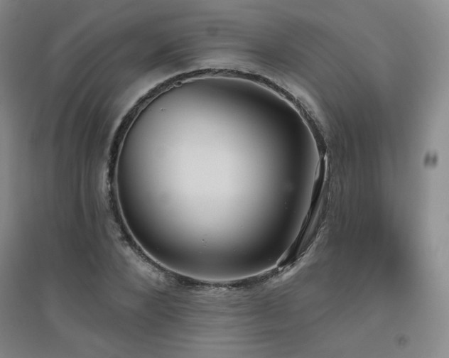X0000094790880200711161431