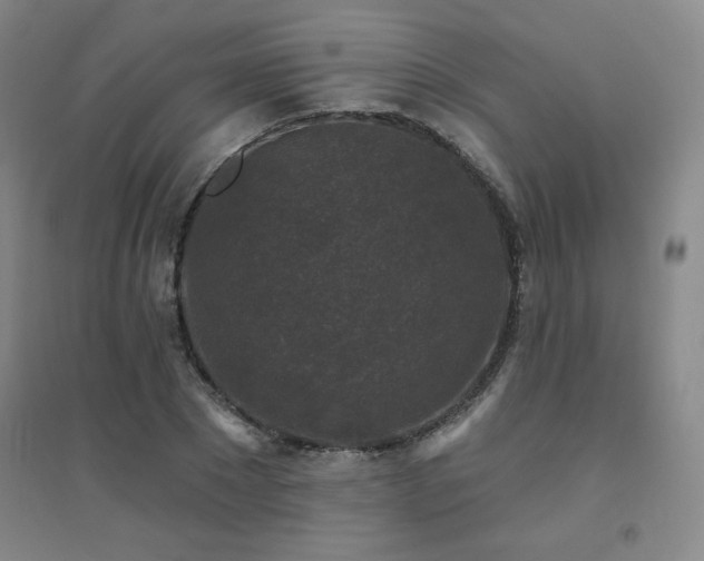 X0000094790881200711161431