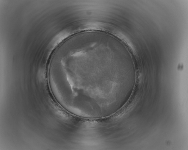 X0000094790882200711161431
