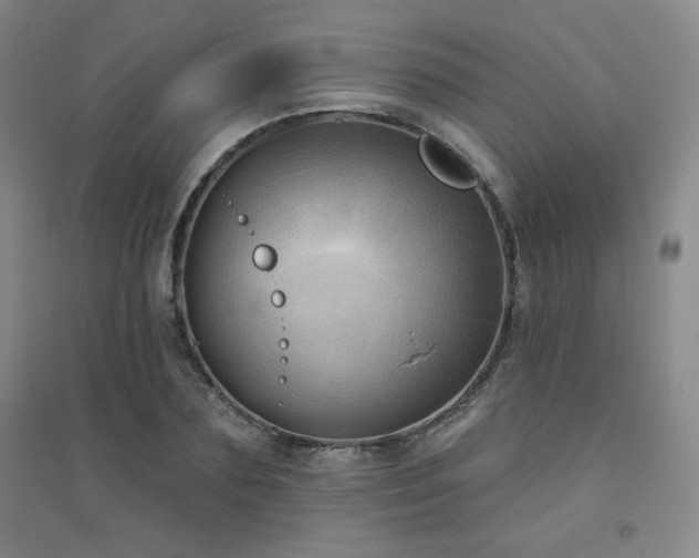 X0000094790883200711161431