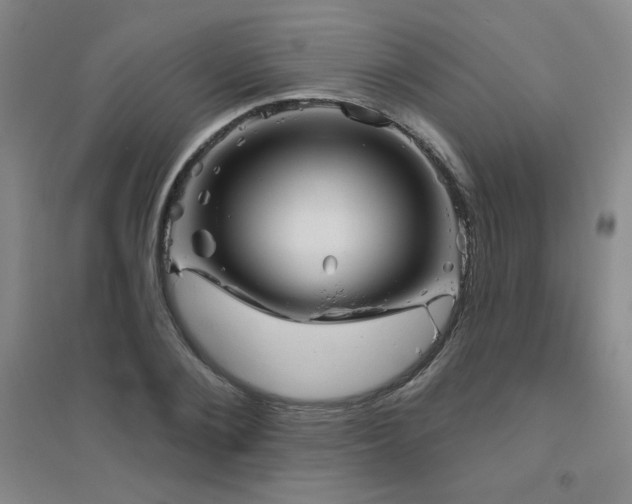 X0000094790884200711161431
