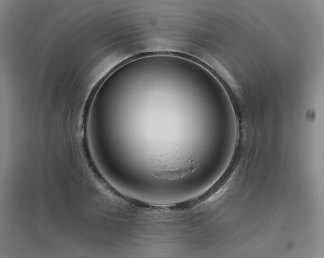 X0000094790885200711161431