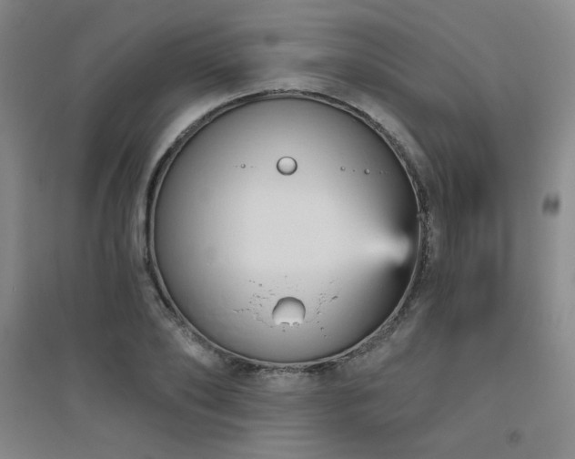 X0000094790886200711161431